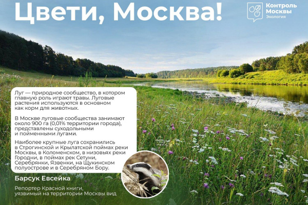 В столице начинается фестиваль «Цвети, Москва!»