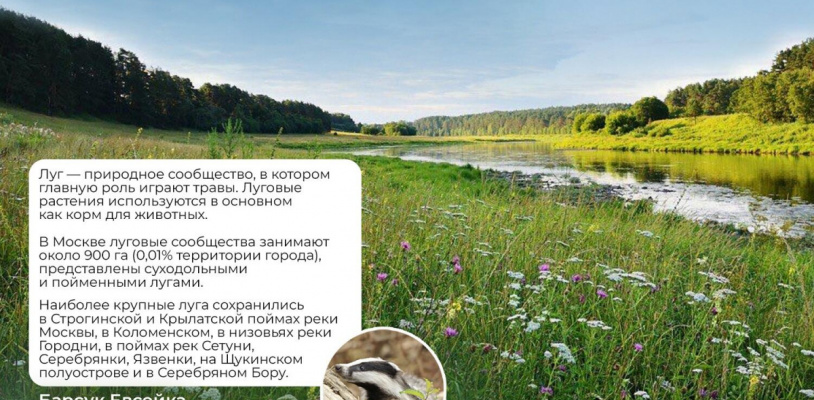 В столице начинается фестиваль «Цвети, Москва!»