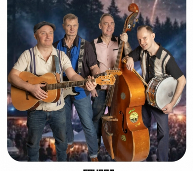 Рок-н-ролльный концерт The Great Pretenders